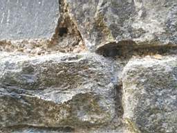 acastle 172120.jpg